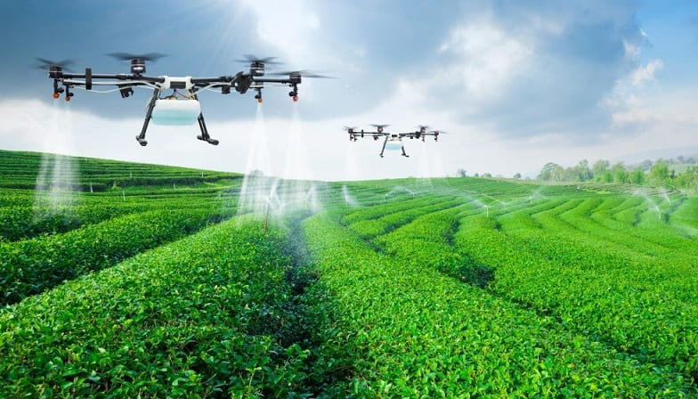 Sector Agroindustrial